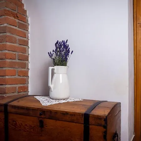 Lisnice Tatil Evi *