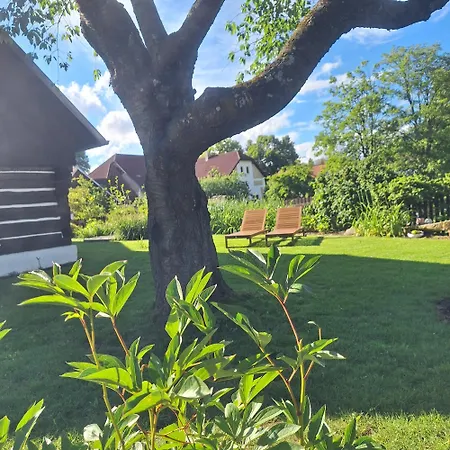 Líšnice Prázdninový dům